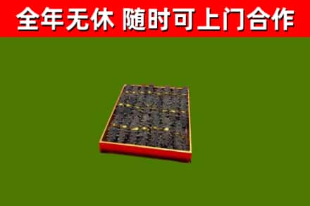 交城回收海参